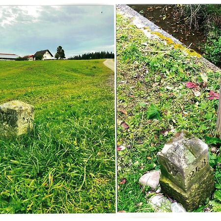 Uebernachtungsmoeglichkeit In Maierhoefen Grunenbach المظهر الخارجي الصورة